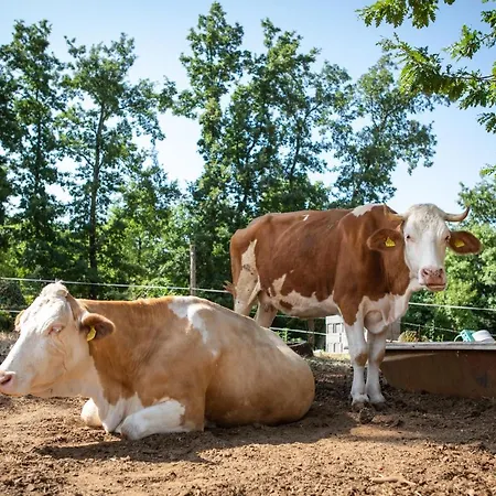 Via Lattea Agritourism Appartamento Svetvinčenat
